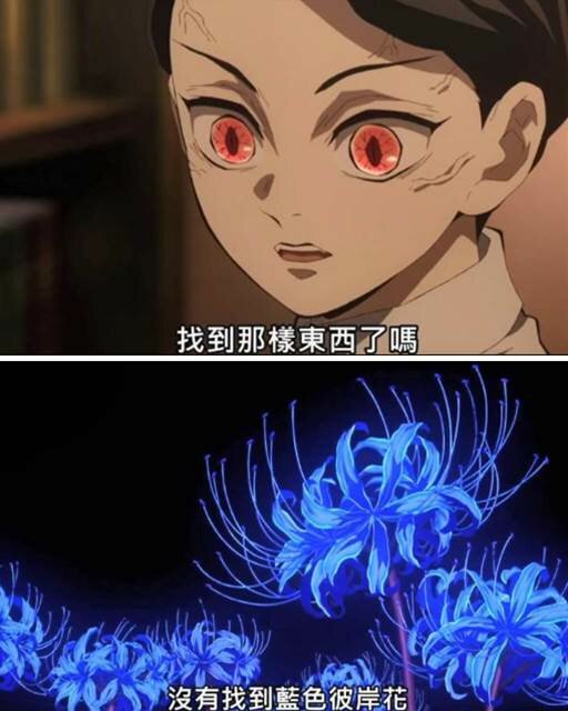 鬼滅之刃無慘苦苦找尋藍色彼岸花